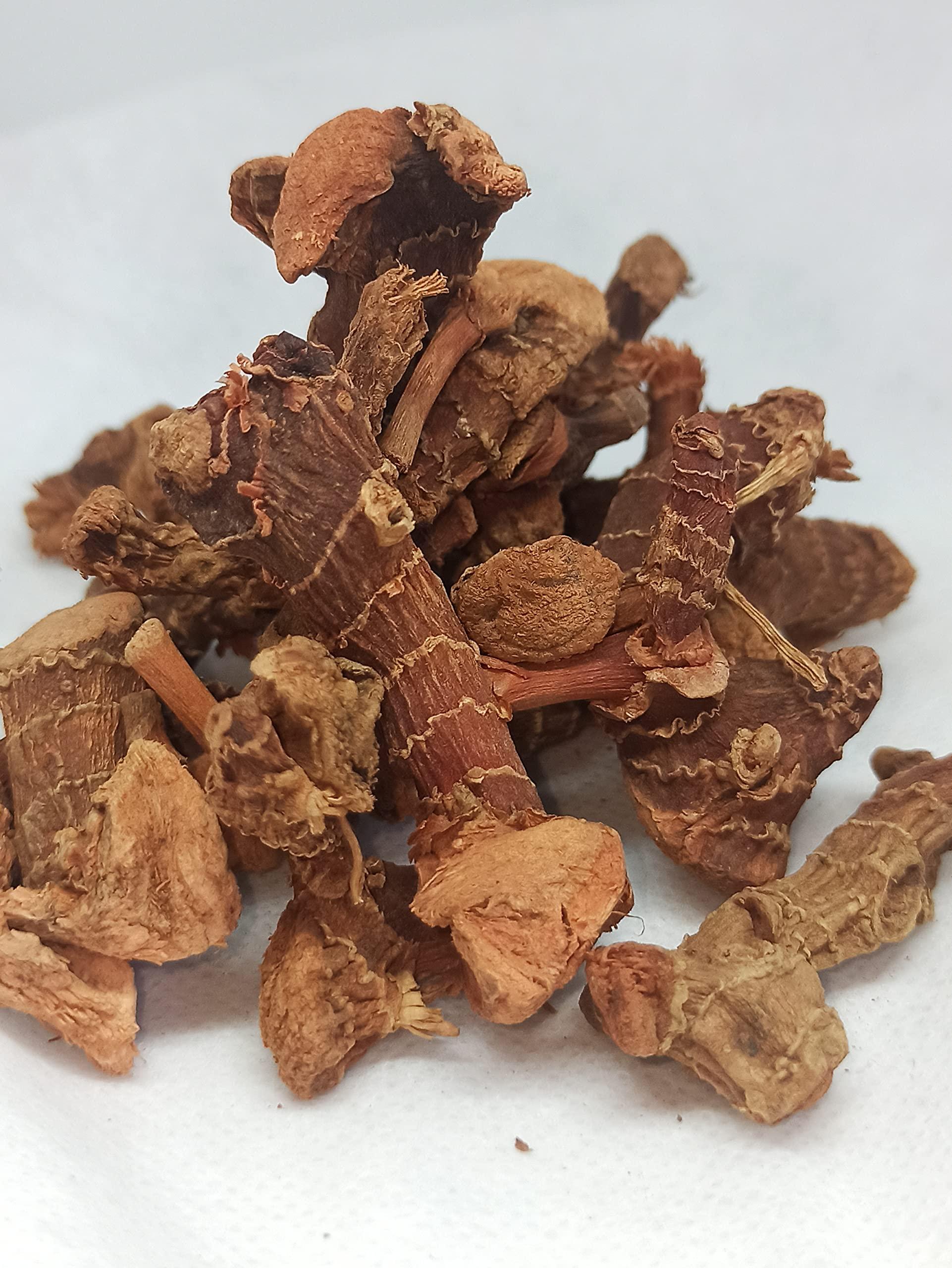 Generic NATURALIFE\'S-*SITHARATHAI*-CHITARATHAI I I Sitharathai I Lesser Galangal I Kulanjan I Alpinia Officinarum.