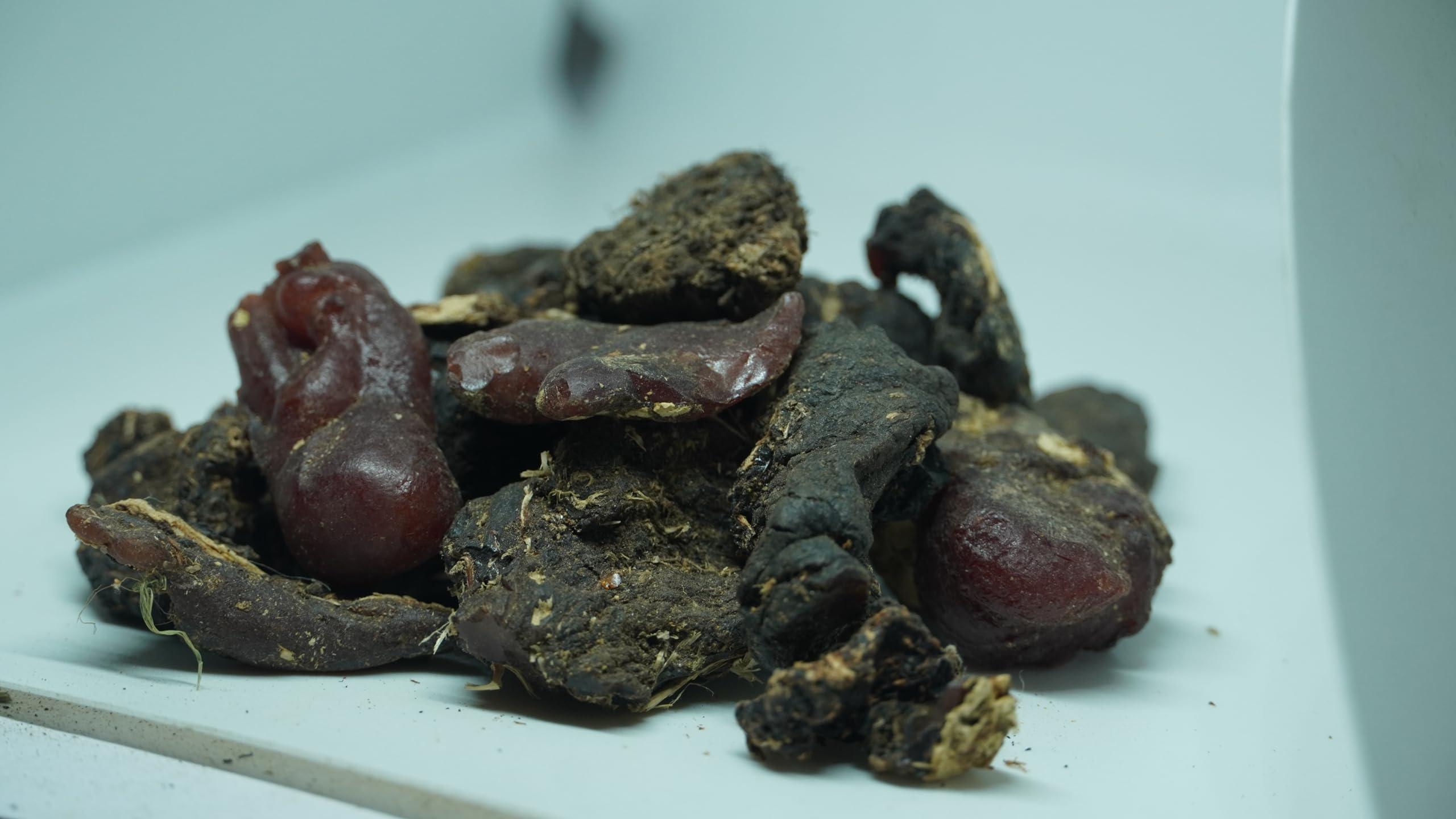 THOGAI THOGAIS -MURUNGA PISIN- / Moringa Oleifera/Drumstick Tree Resin/Ahijan/Munaga/Senjana Pattee/Muringai/Mochakamu/Munagachettu (500 GRAMS (PACK OF 1))