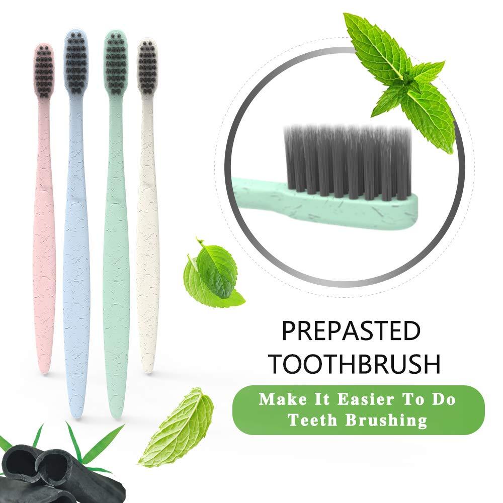 DR.PERFECT DR.PERFECT Prepasted Wheat Charcoal Toothbrush Individually Wrapped with Sealed Paper Bag Pack of 24 (24)