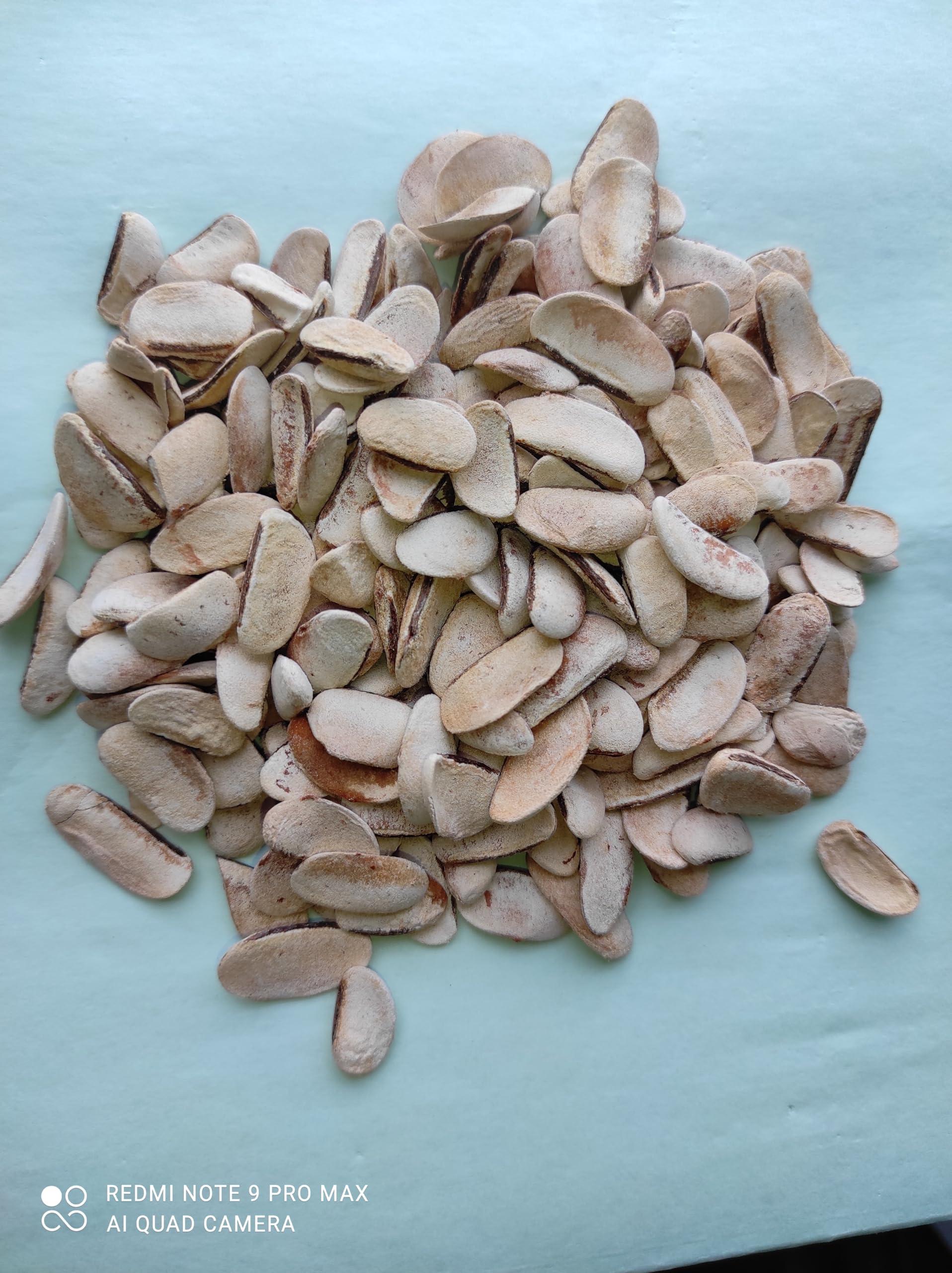 Seema Seema Sugar Kadwa Badam - DIABETES ALMOND KADAWA BADAM KADU BADAM (100)