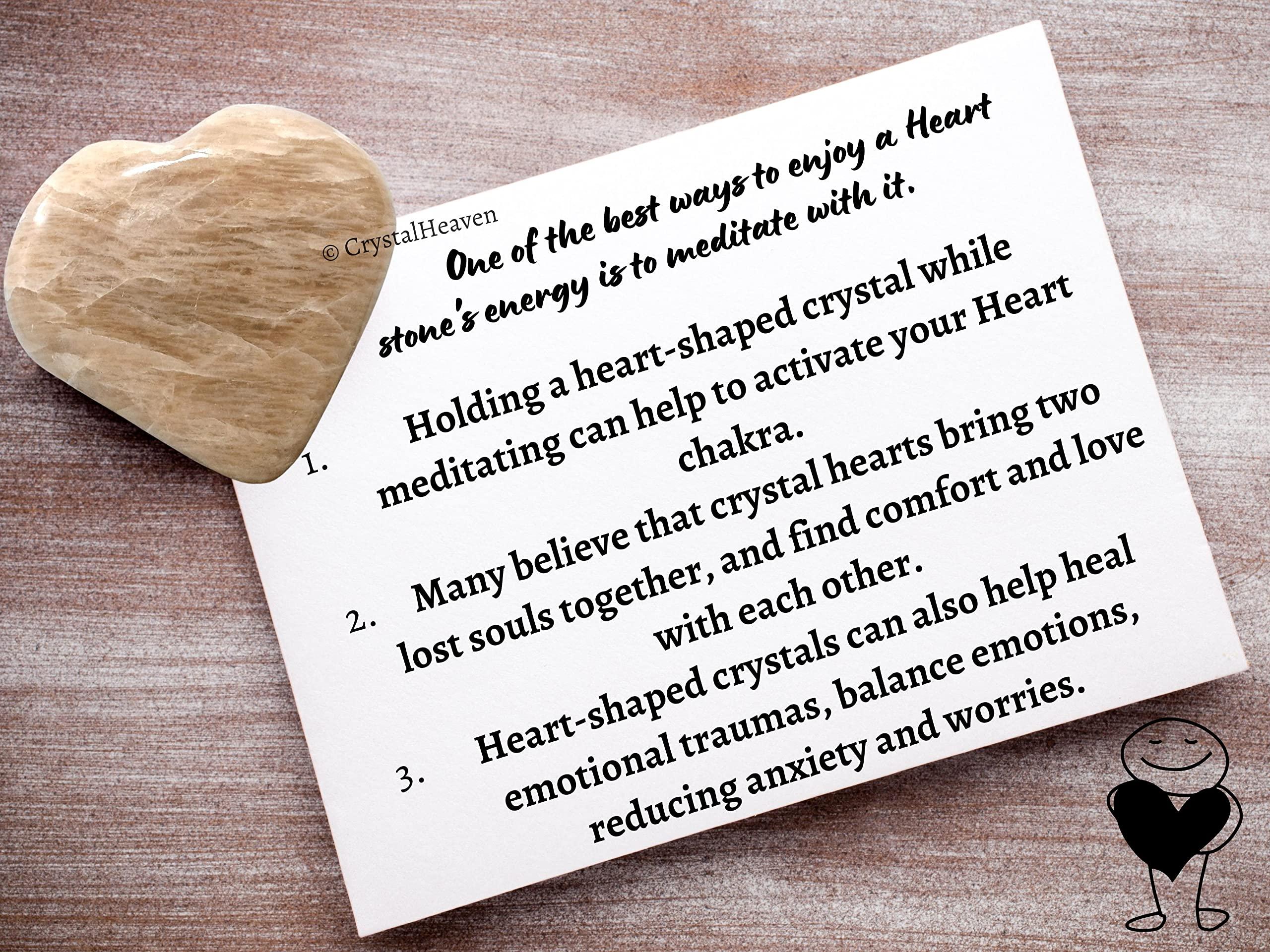 OZiva OZiva Daily Protein Activ for Women | Best Protein Powder for Women with 120g Protein, Probiotics, Shatavari for Increased Energy Levels, Bone Health and Hormonal Balance 300g (Chocolate, Pack 1)