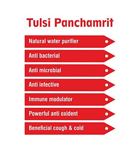Cellhub KALPAMRIT TULSI PANCHAMRIT (15 ml)