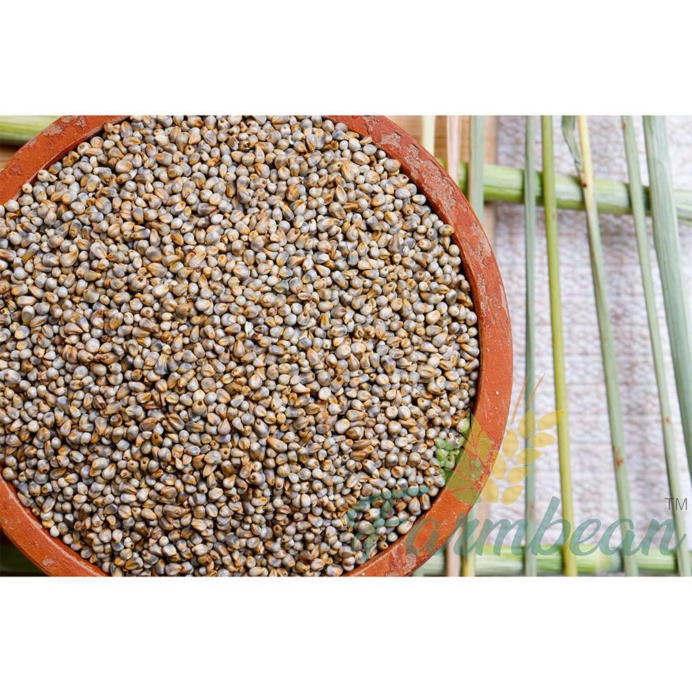 Farmbean Farmbean Raw Bajra/Pearl Millet Seeds for Eating, Healthy Seeds Unroasted Bajra/Pearl Millet Seeds, Raw and Unsalted - 2 KG