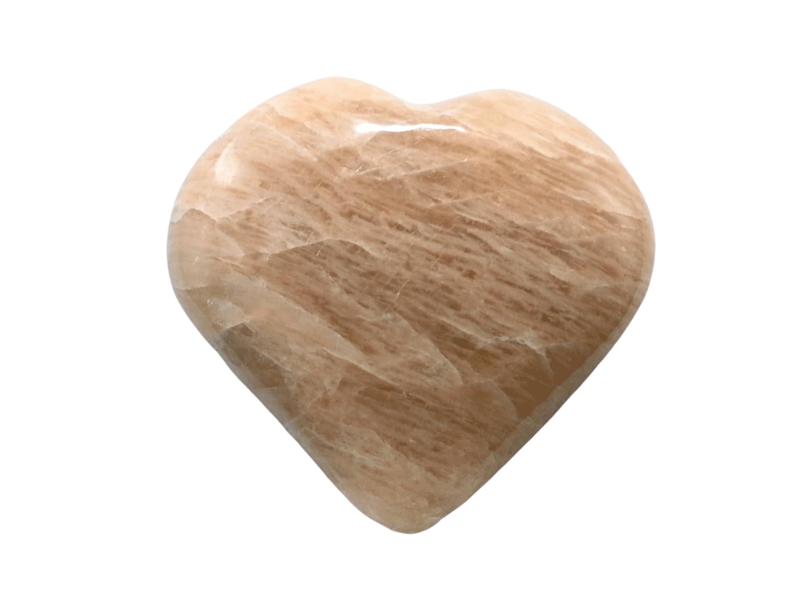 OZiva OZiva Daily Protein Activ for Women | Best Protein Powder for Women with 120g Protein, Probiotics, Shatavari for Increased Energy Levels, Bone Health and Hormonal Balance 300g (Chocolate, Pack 1)