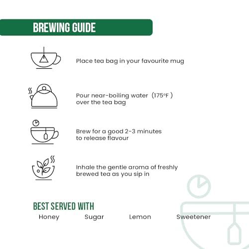 FRESHLEAF FRESHLEAF Tulsi Green Tea Rich With Anti-Oxidants, 100% Whole Long Leaf, 20 Pyramid Tea Bags (60 Tea Bags) (40 Tea Bags)