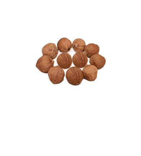 Generic Neeraj- Sreephal/Laghu Nariyal -21 Pc for Pooja