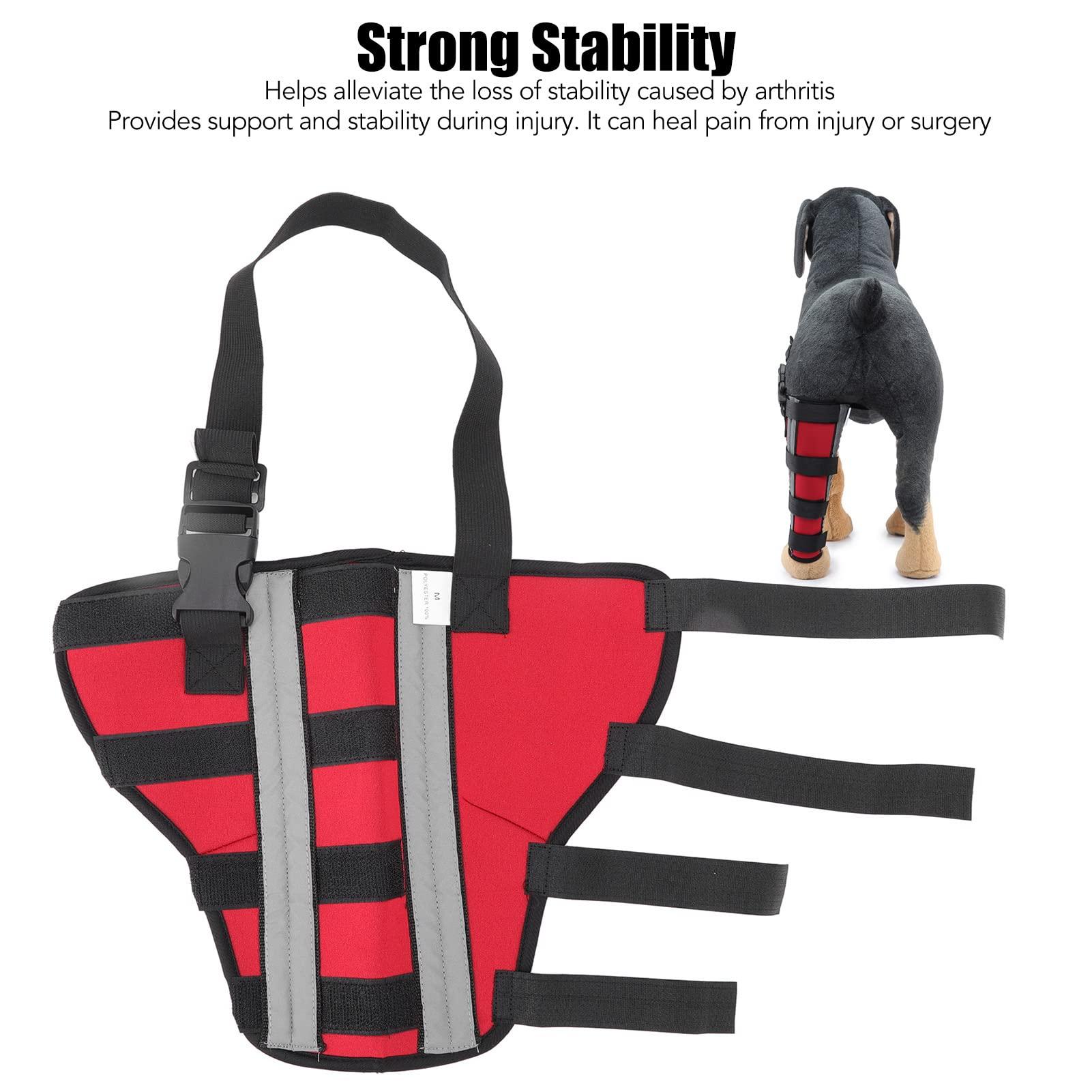 HAIBING Dog Knee Pads Brace, Neoprene Relieve Joint Pain Dog Hind Leg Brace Reflective Strip for Rehabilitation