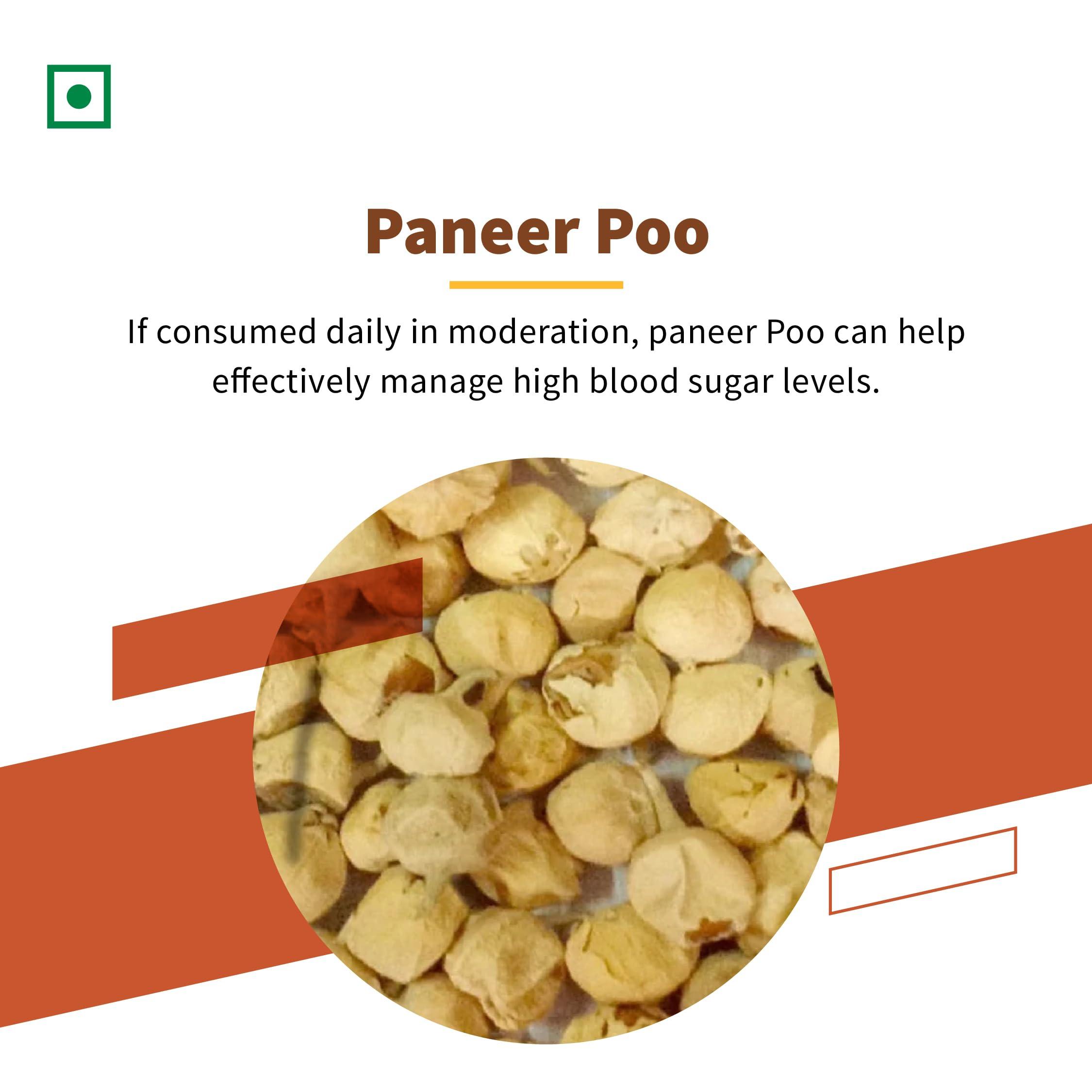 infud Infud Paneer Phool Dodi/Panner Poo/Paneer doda/ 50gm (Pack of 5)