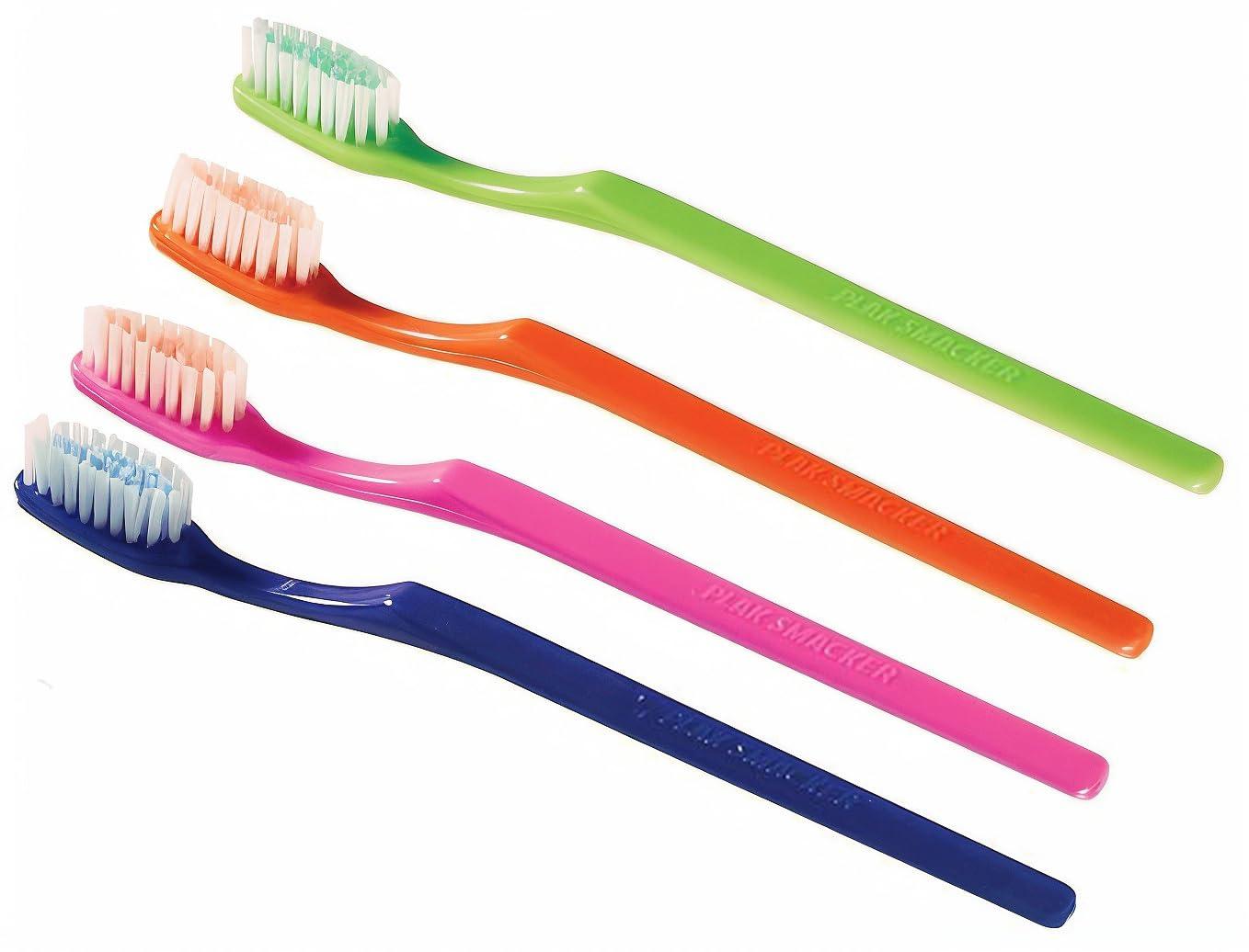 Plak Smacker Mintburst Prepasted Individually Wrapped Toothbrush (36 Toothbrushes)