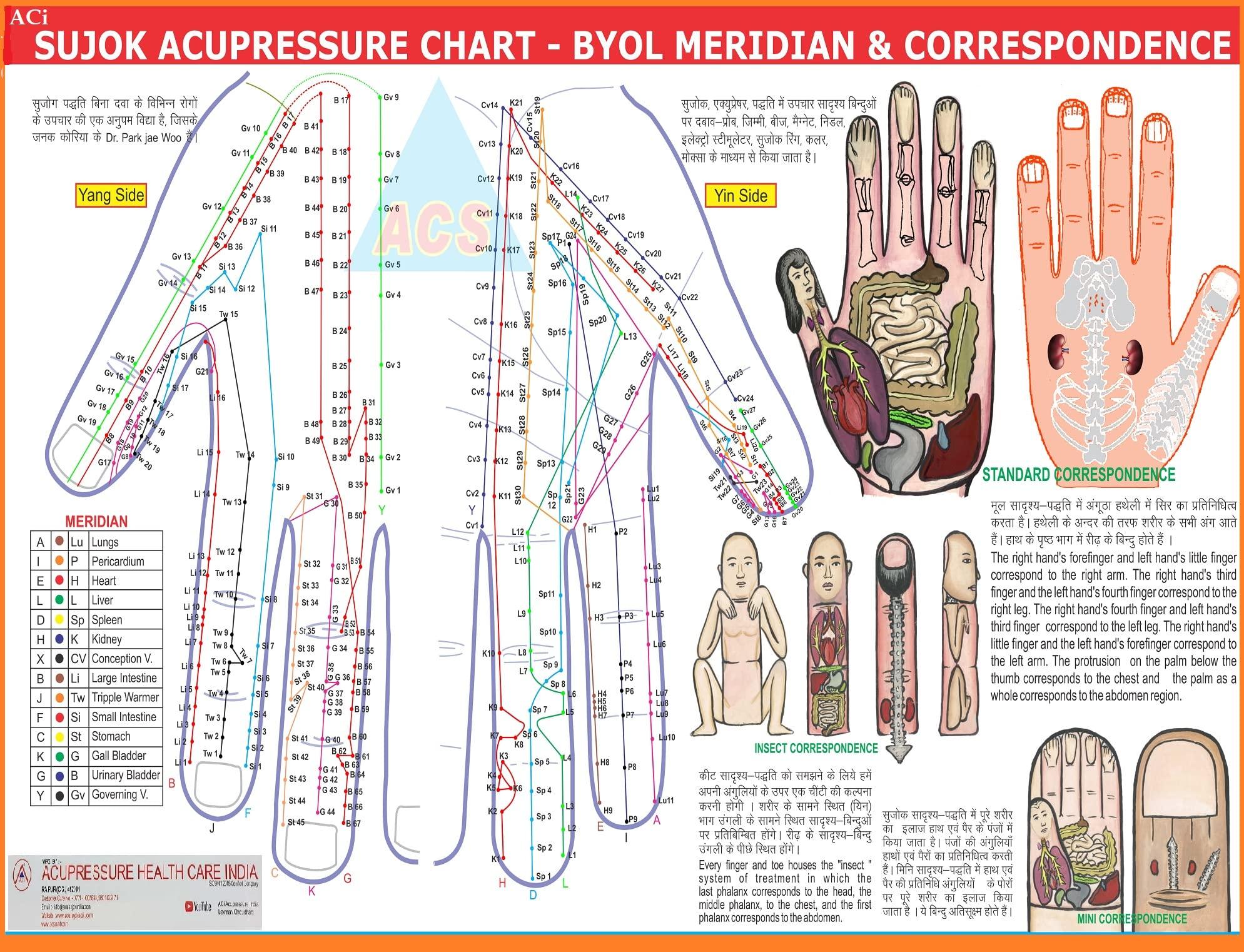 ACi ACi Acupressure Sujok Five Star Magnet Sujok Cluster Magnet Sujok Therapy Treatment Use (2 Packet) Total-20Pcs, Black