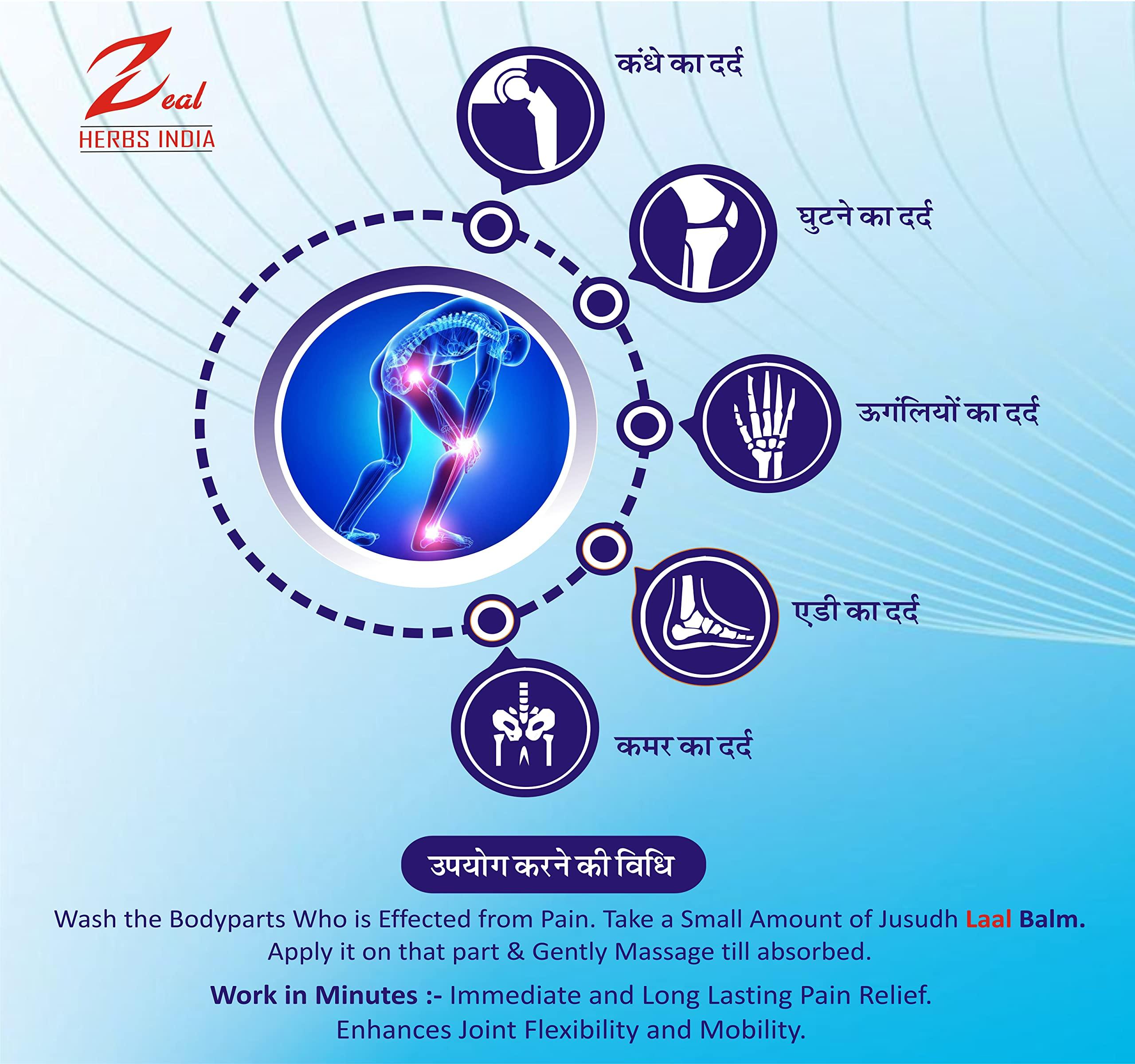 ZEAL HERBS INDIA Zeal Laal Strong Pain Relief Balm Made With Natural And Ayurvedic Formulation With Strong Smell (Big Size) 40gm Non- Sticky, Fast Absorption In Orange Color - 40 Gm (Pack Of 12Pcs)