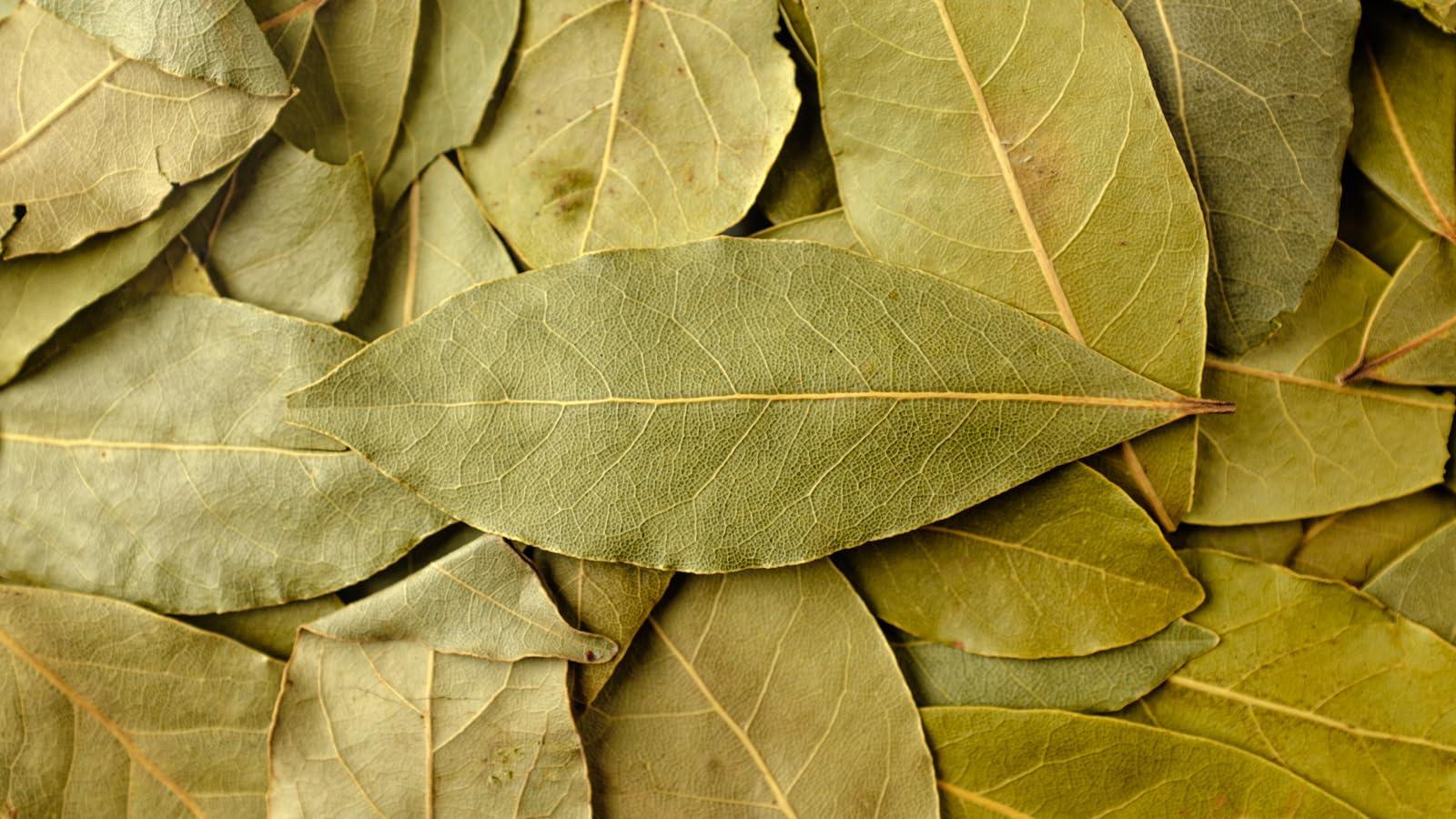 Tharuni THARUNI bay leaf/bay laurel/sweet bay/Tej Patta whole spice (200)