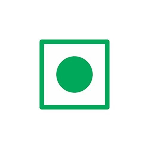 HILLS ORGANICS HILLS ORGANICS Raw Pumpkin Seeds - 500G l 100% Fresh Natural Rich in Protein & Fiber, Gluten Free Dry Fruits & Nuts Pumpkin Seeds - Jar Pack