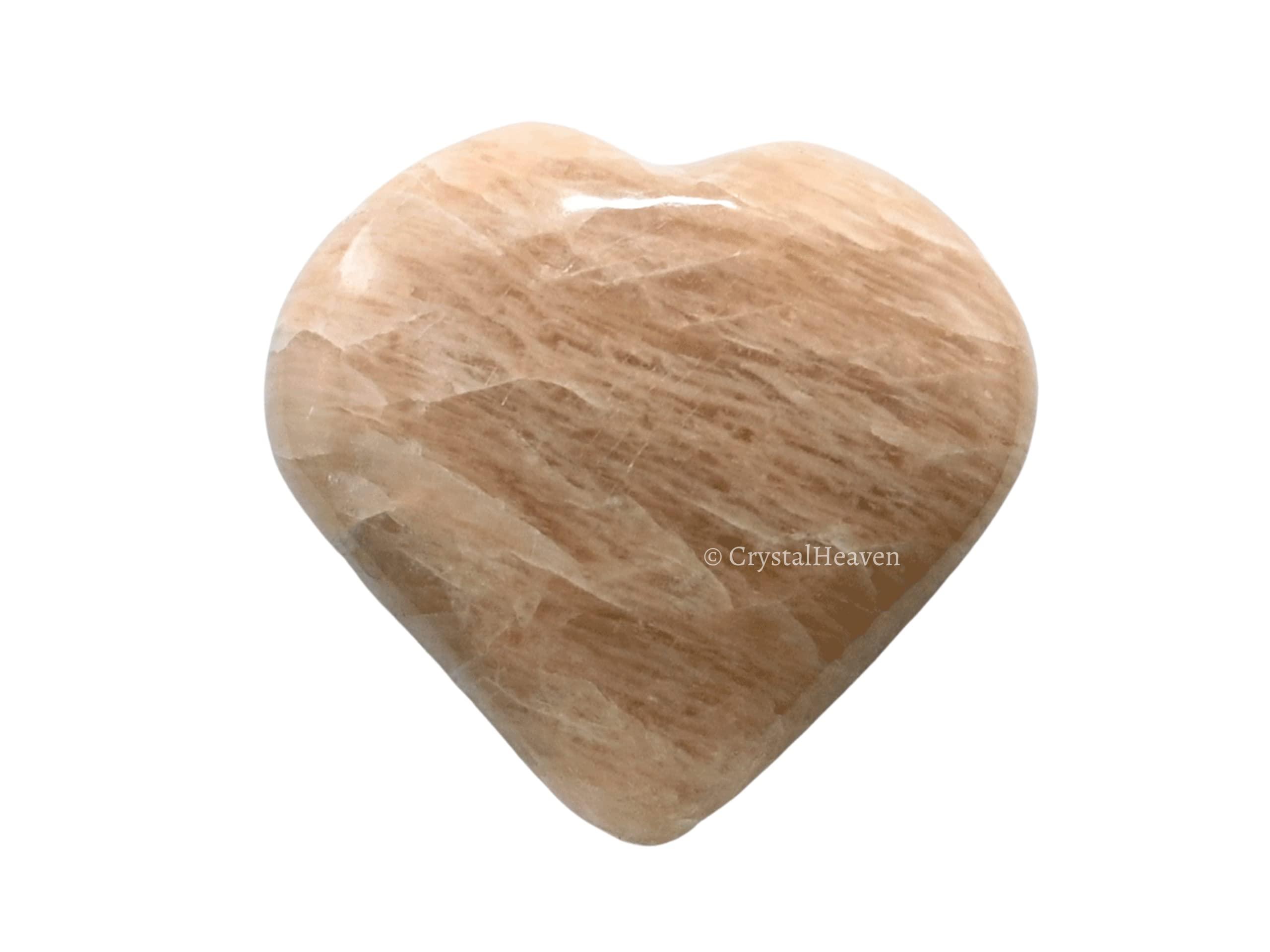 OZiva OZiva Daily Protein Activ for Women | Best Protein Powder for Women with 120g Protein, Probiotics, Shatavari for Increased Energy Levels, Bone Health and Hormonal Balance 300g (Chocolate, Pack 1)