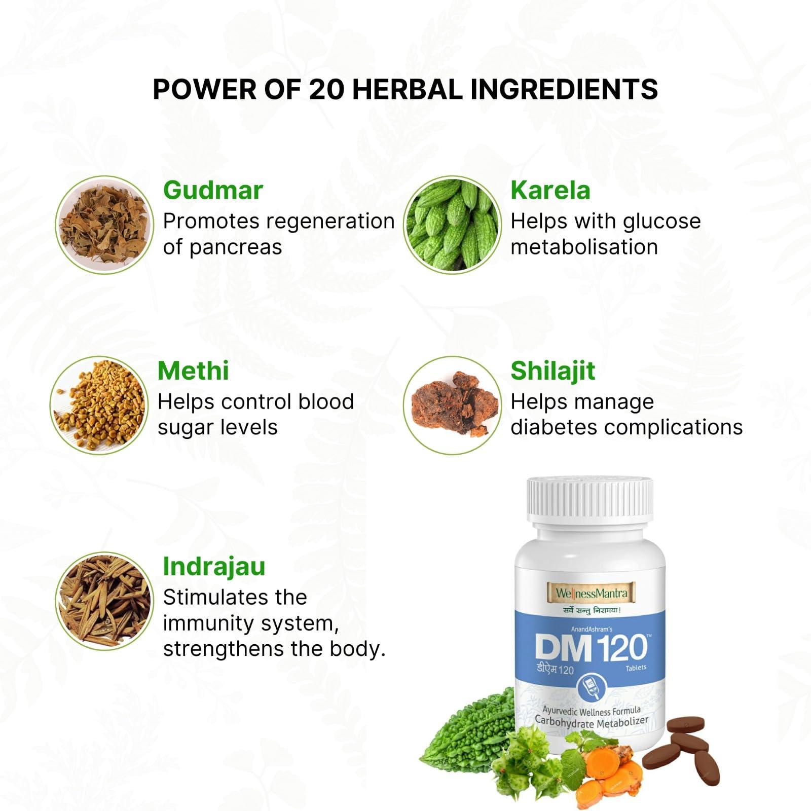WellnessMantra Wellness Mantra DM 120 | Diabetic Care | Blood Sugar Control Ayurvedic Tablets | Helps to Protect From Long Term Complications of Diabetes | Gudmar, Jamun, Karela, Methi & 16 More Herbs (Pack of 2 - 120 Tablets)