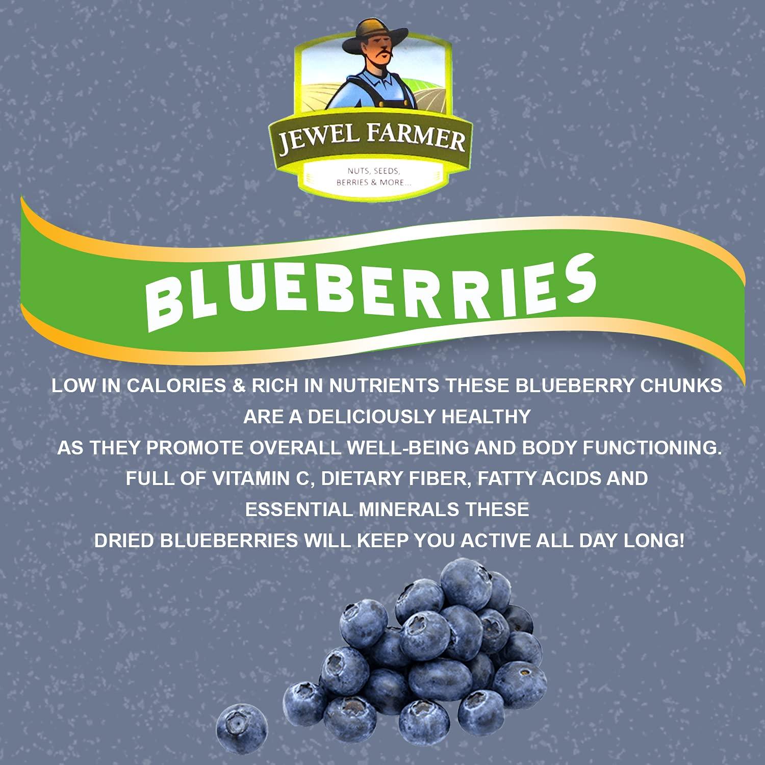 JEWEL FARMER JEWEL FARMER American Dried Blueberries Organic & Natural Ready to Eat (500g)