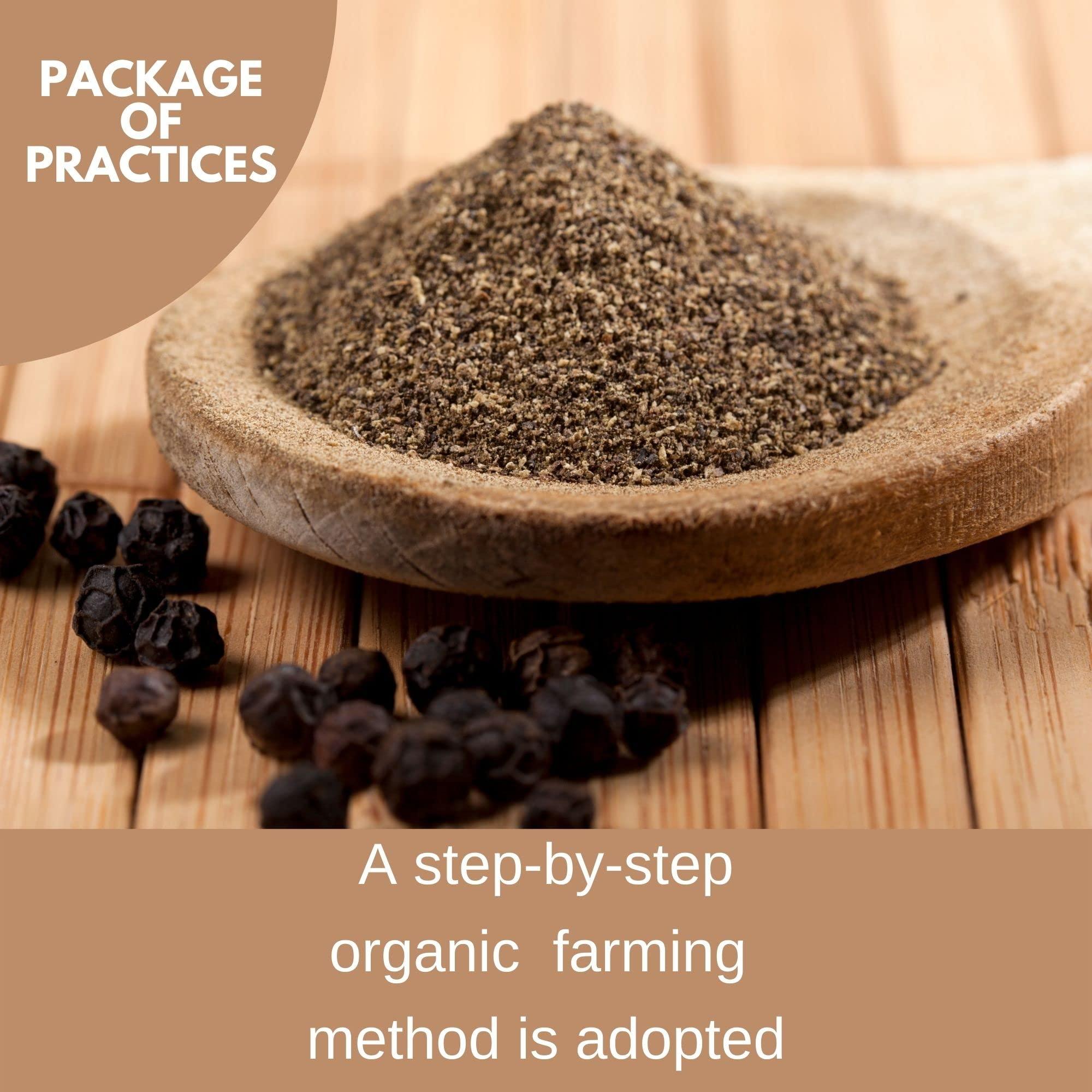 BOTLEAF BOTLEAF Black Pepper Powder 200 GM Fine Ground Pure Spicy and Hot Freshly packaged powder derived from matured berries of Malabar Peppercorns from our own farm Thellissery Kali Mirch Golki Gota Golmorich Kalimiri Miriyalu 200 gm