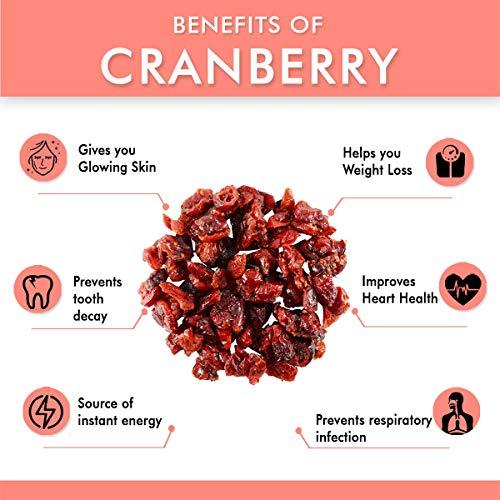 NATURE YARD NATURE YARD Whole Dried Cranberries Dry fruit - 150gm - Naturally Dried without artificial flavor