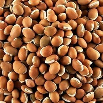 YAMKAY Yamkay Honey Mochai Honey Field Bean Brown Mochai Kottai Payaru 250 gm