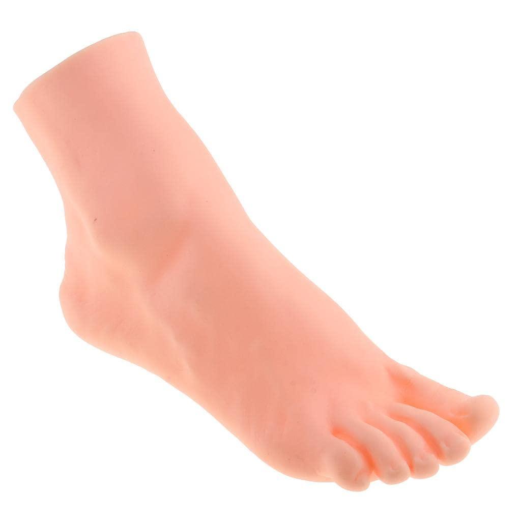 Expora EXPORA Rubber Vivid Retail Male Right Foot Mannequin Feet Shoes Dummy Model Display