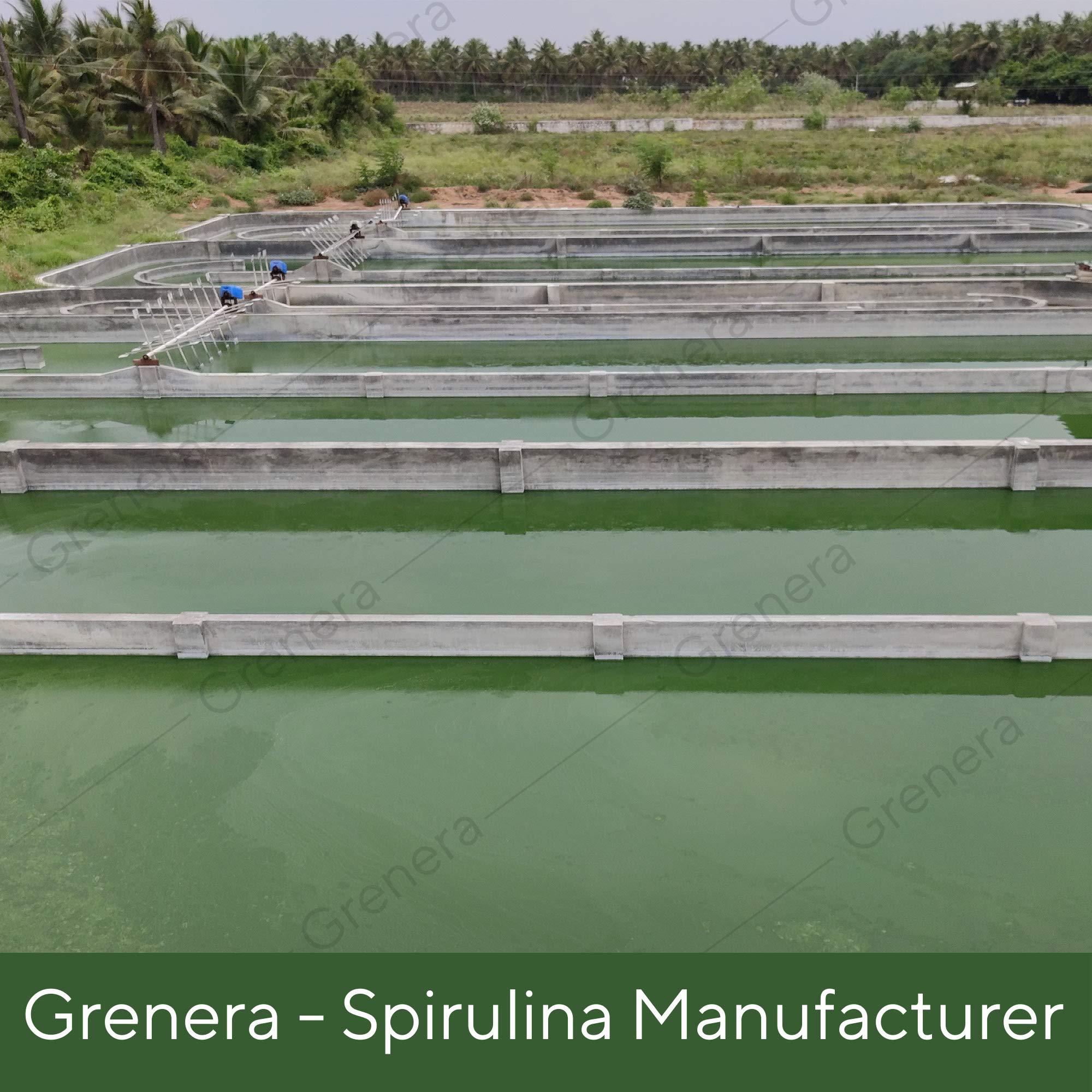 GRENERA Grenera Spirulina Powder, Rich in Protein, Vitamins, Minerals, Gluten Free, Vegan, Non GMO, 100 grams