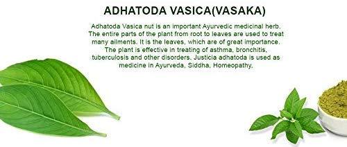 neotea Adathoda Powder Adathoda Vasica Adathodai Adusa Adalodakam Leaves Herbal 300 GM