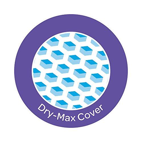 Stayfree Stayfree Secure XL Cottony Sanitary Napkins with Wings, Extra Large (60 Count) & Stayfree All Night XL Dry Max Cover Sanitary Napkins - 42 Pads (Super Saver Pack)