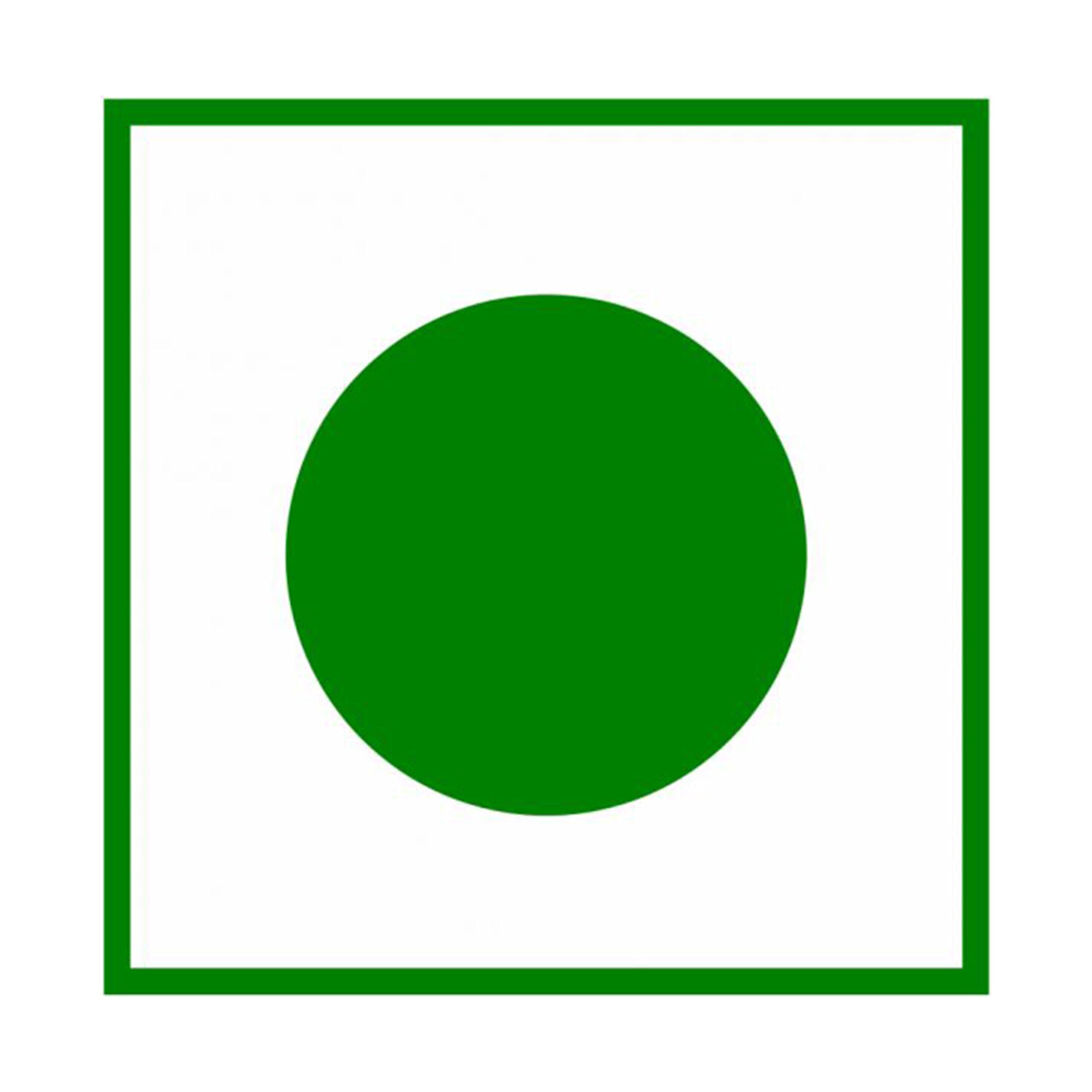 Chaizup Chaizup Instant Premix Cardamom Tea NO ADDED SUGAR 30 Sachets 9GM Each Daily Instant 1 Min Elaichi Chai Premium Instant Premix Elaichi Tea - Authentic Blend for Instant Refreshment