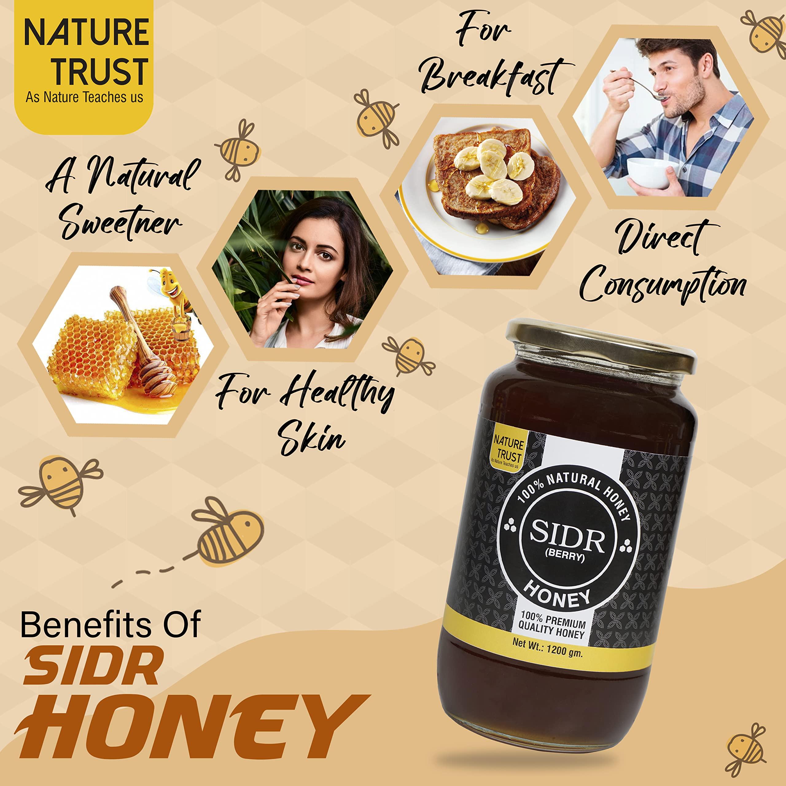 NATURE TRUST NATURE TRUST Natural-SIDR 1200g pack of 2 Pure & Premium Himalayan &100% Pure & Natural Honey Unprocessed Honey|Pure Organic Raw Honey no preservatives|no Added Sugar (1.2kg Pack of 2)