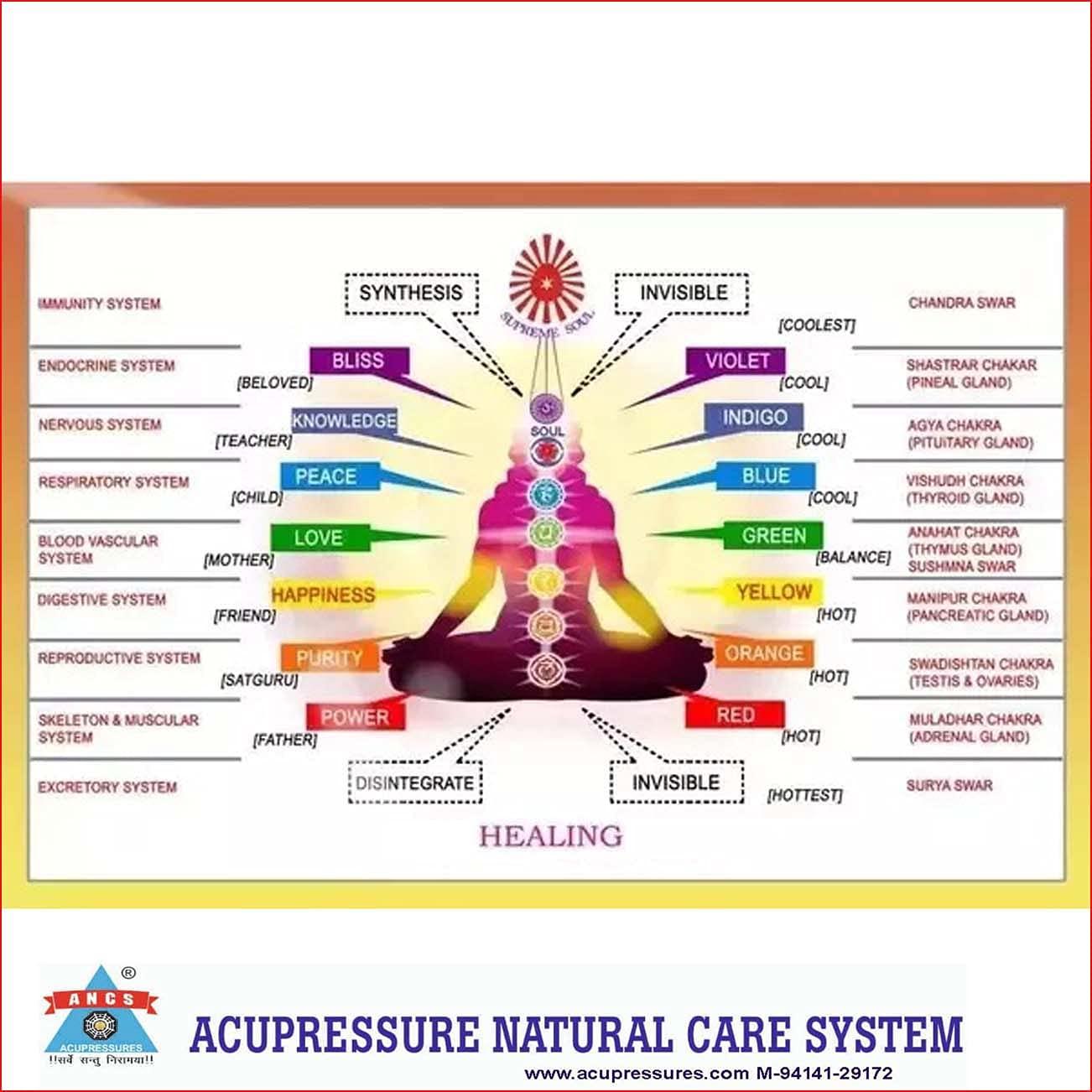 ANCS ANCS Water Pyramid, Water Kit Assorted Colored (Set-10pc)