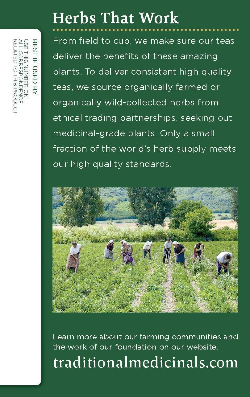 Traditional Medicinals Traditional Medicinals Herbal Tea Organic Chamomile with Lavender -- 16 Tea Bags