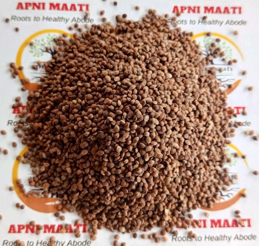 Apni Maati Apni Maati Kodo Millet Seed for Sowing (2000 gm; Koden/Kodra/Koovarugu)