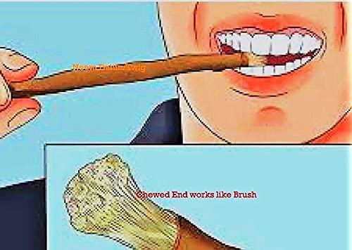 Timosha Timosha || NEEM Datun|Datwan|Chew-Stick () || 10 pcs.