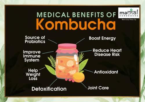 Macha! Macha! Komboocha - Kombucha Standard Flavor-Organic Probiotic Refreshment-Reenergizing Fermented Tea-Preservatives free Energy Drink, 275 ml (Pineapple Punch, Pack of 4)