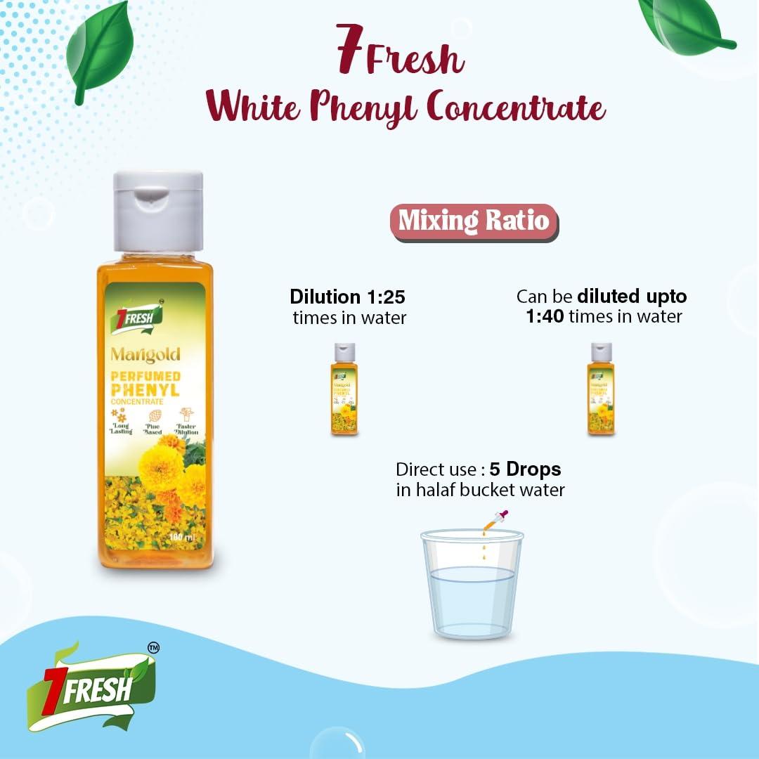 7Fresh Phenyl Concentrate Combo 2