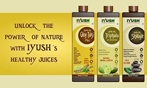 IYUSH IYUSH Herbal Ayurveda Vijaysar Powder (pack of 2)- 100gm each