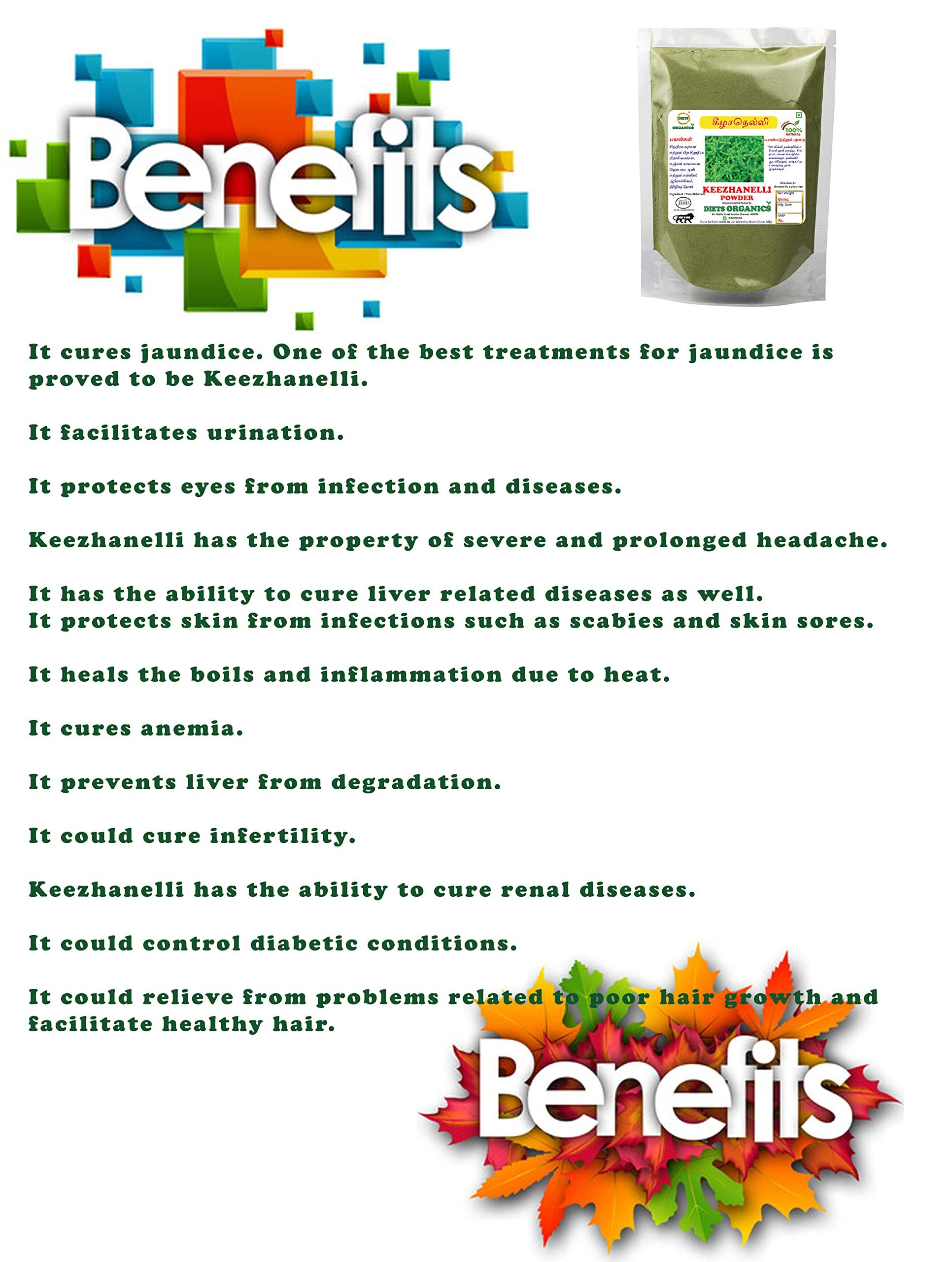 DIETS ORGANICS Diets Organics Keelanelli powder-100 G,Bhumyamalaki,Phyllanthus Niruri Powder, Keezanelli powder -100G pack of 1