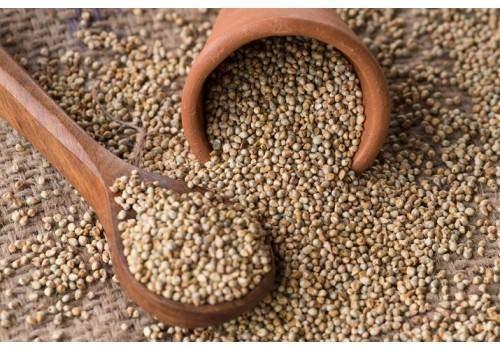 Roods Fresh Roods Fresh Whole Bajra Grain | Pearl Millet| (900 Grams )