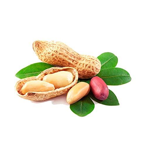 Fit Div Fit Div Organic Raw Peanuts (500 Gm)