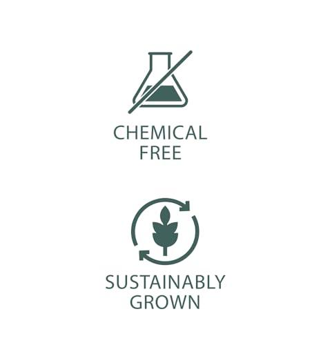 FOLK HARVEST DALLE KHURSANI CHILLI