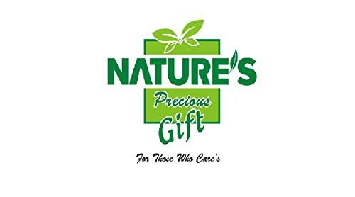 NATURE\'S Precious Gift NATURE\'S Precious Gift - Spinach Powder - 5 kg - Jumbo Super Saver Wholesale Pack