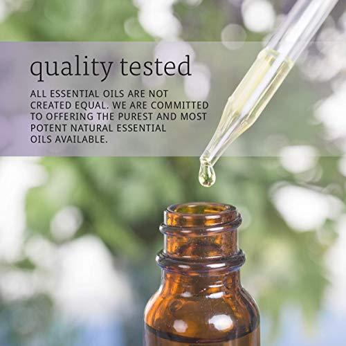 Now Foods Now Foods Pure & Organic Essential Oil Clove 1 Fl. Oz.