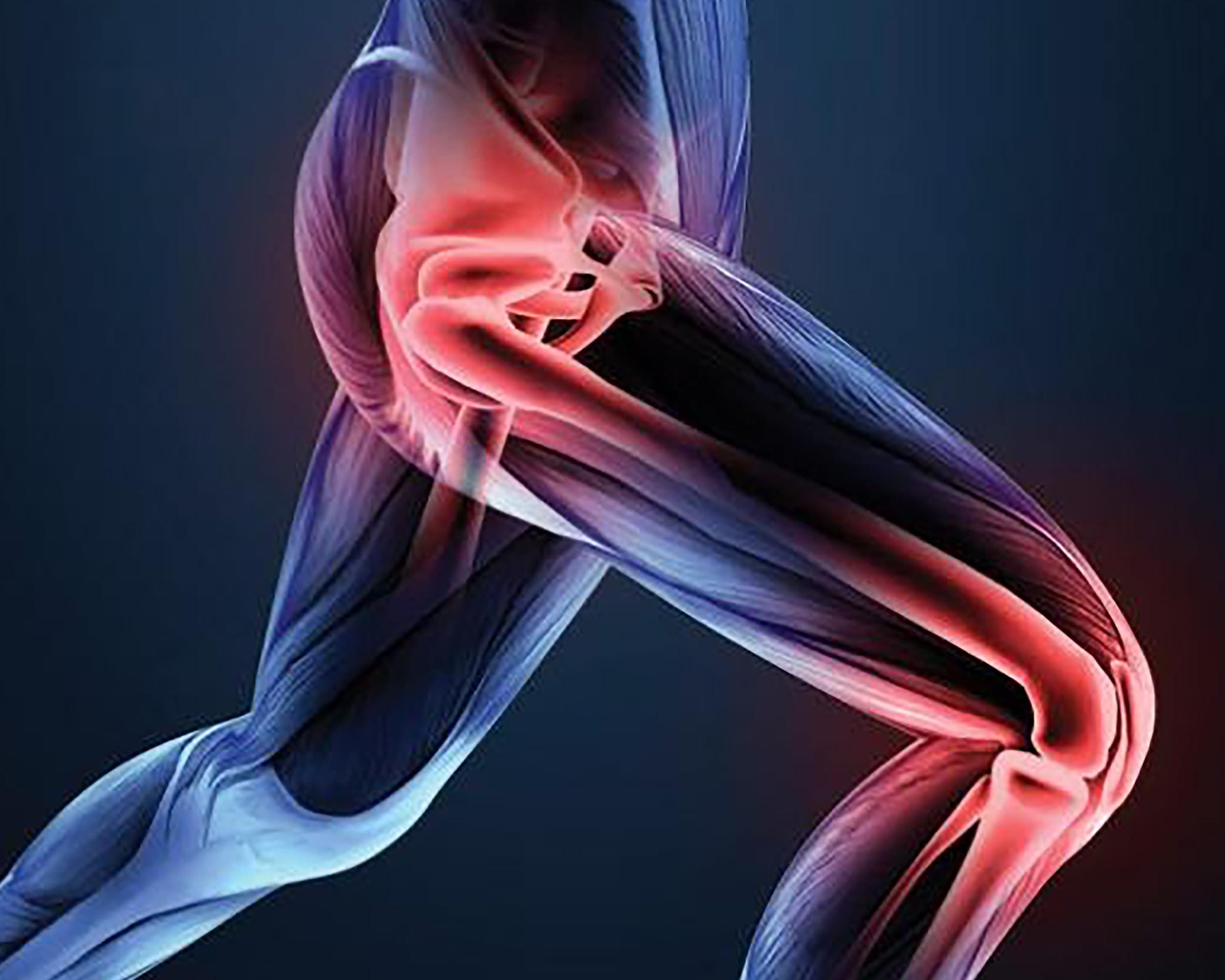 Everest Natural,Thanjavur - 614628 EVEREST Ayurvedic pain releif oil Artho Arthritis herbal oil for legs bones knee shoulder muscle joint pain knee neck (120 ML)