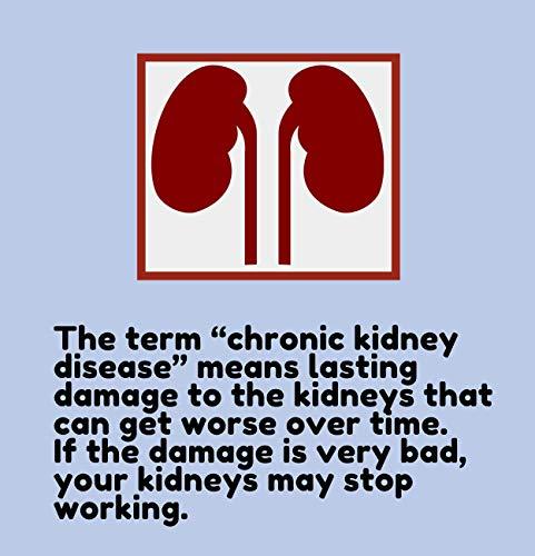 JIVAN SHREE WITH DEVICE OF SHREE Kidney Formula Ayurvedic medicine for Kidney (All Problems) & Creatnine Kidney Support |Natural Kidney Cleanse And Detox Supplement (120 Capsules Pack of 2)