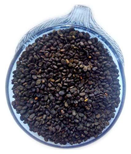 Sky Life Sky Life® Babchi - 100Grm - Bavanchi - Psoralea Corylifolia - Bakuchi Seed - Lalakasturi - Sugandha - kantak - Habuch - Bavachi