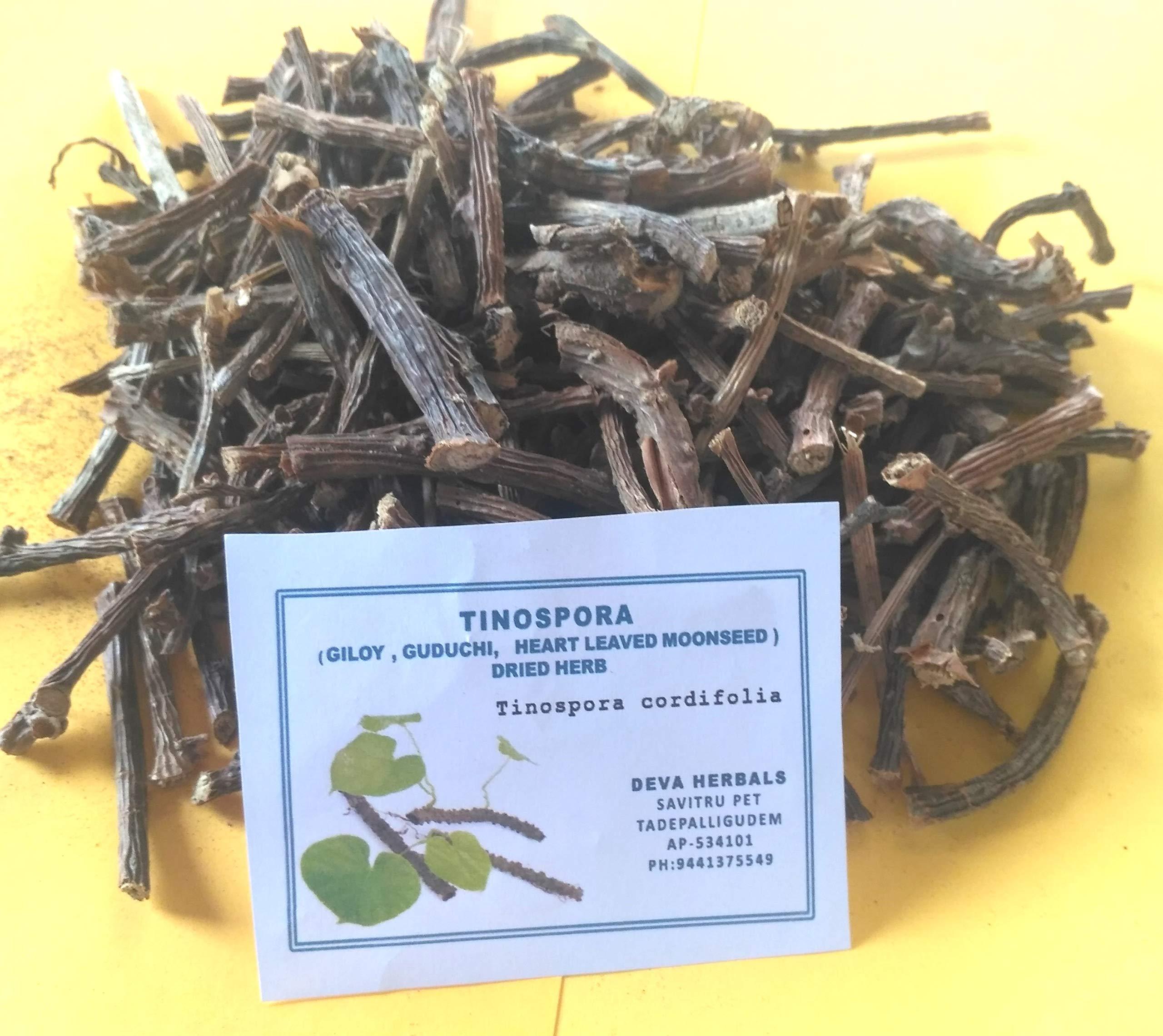 Generic Giloy-Guduchi, Tinospora cordifolia- Heart leaved moonseed Dried Herb (1800 grams)