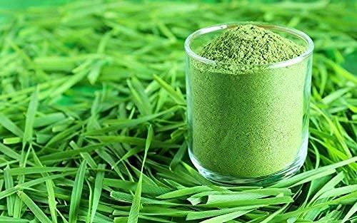 Vedanta Vedanta 100% Organic Wheatgrass Powder 100 Gm | Immunity Booster, Detoxification, Superfood | Pack of 1