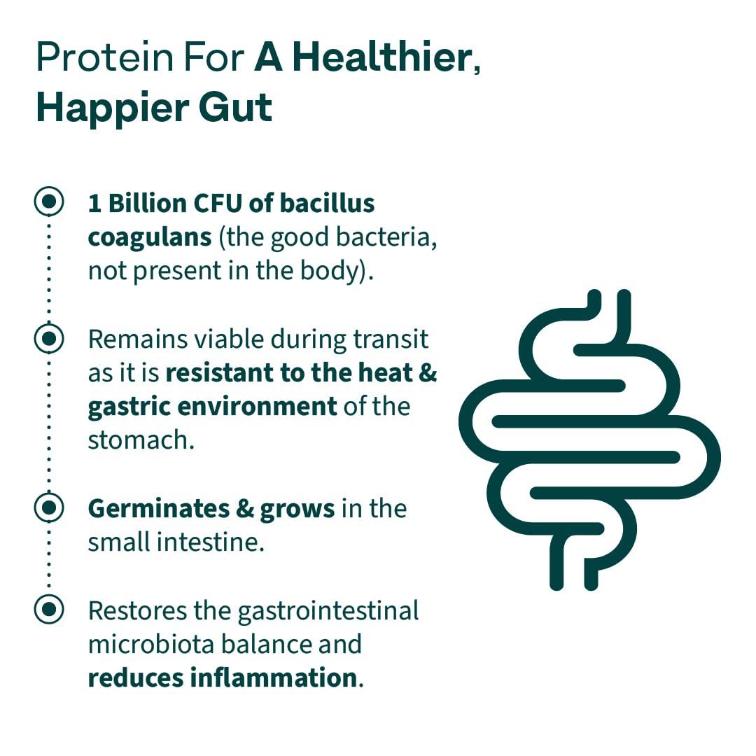 OZiva OZiva Daily Protein Activ for Women | Best Protein Powder for Women with 120g Protein, Probiotics, Shatavari for Increased Energy Levels, Bone Health and Hormonal Balance 300g (Chocolate, Pack 1)