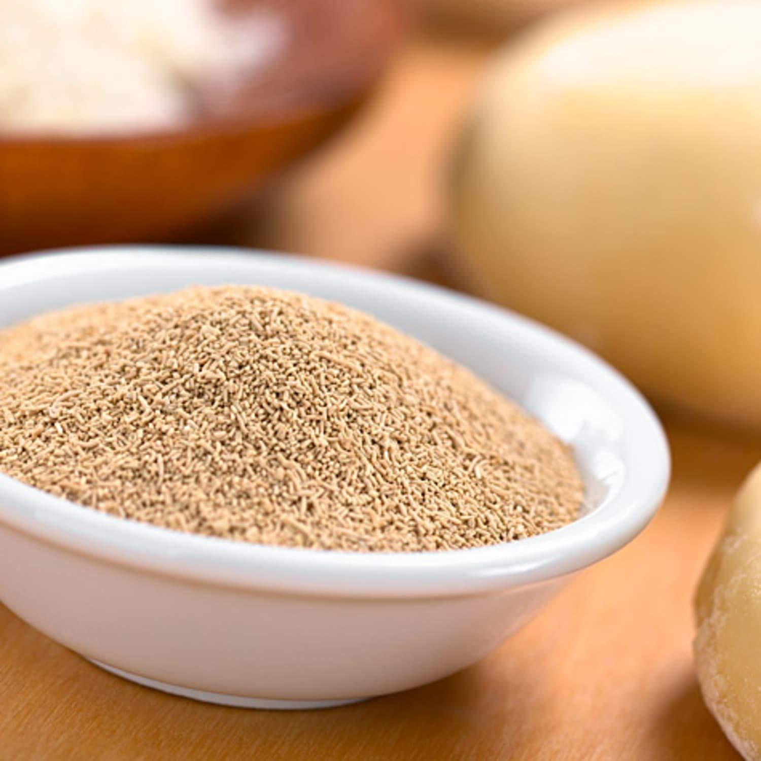 ORGANIC PURIFY Organic Purify Active Dry Yeast Powder, Instant Yeast, Yeast for Baking Pizza, Yeast for Breads, Dry Yeast 400GM