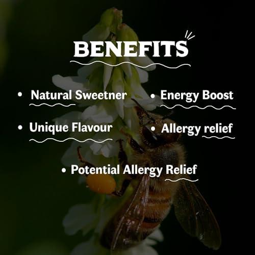 Vediko Origins Vediko Origins Farm Fresh Raw Forest Honey (500 Gm) | 100% Pure And Natural Unprocessed Single Origin Basil Honey | Respiratory Booster